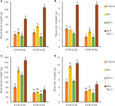 Induction of salt tolerance in Brassica rapa by nitric oxide treatment